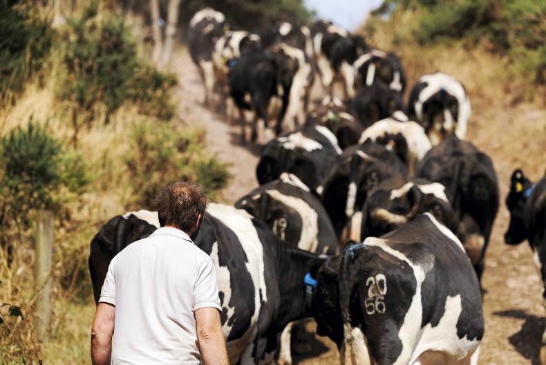 Fertiliser warning as lack of rain hits growth Fertiliser warning as lack of rain hits growth
