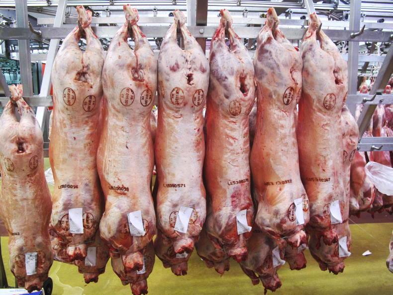 Sheep Trends: cuts of 30c/kg as factories blame seasonal price pressure Sheep Trends: cuts of 30c/kg as factories blame seasonal price pressure