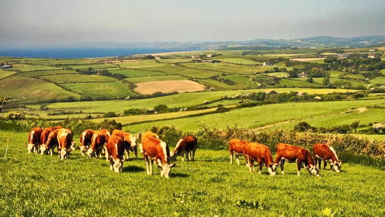 The taxing questions around land The taxing questions around land