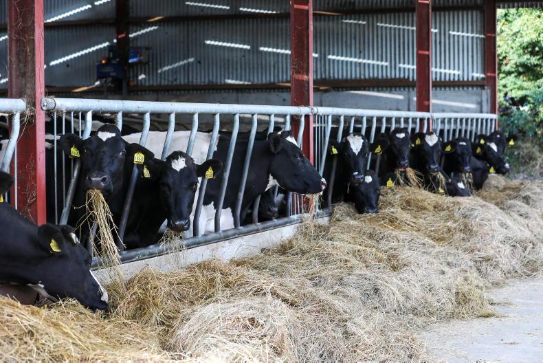 Milk yield is falling, should you be concerned? Milk yield is falling, should you be concerned?