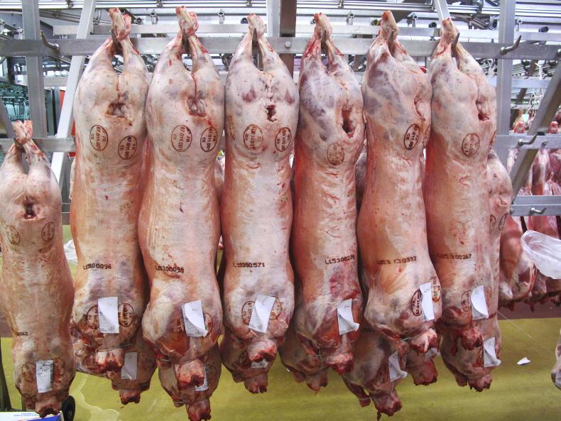 Sheep price update: lambs fall 20c/kg to 30c/kg to €8/kg base Sheep price update: lambs fall 20c/kg to 30c/kg to €8/kg base