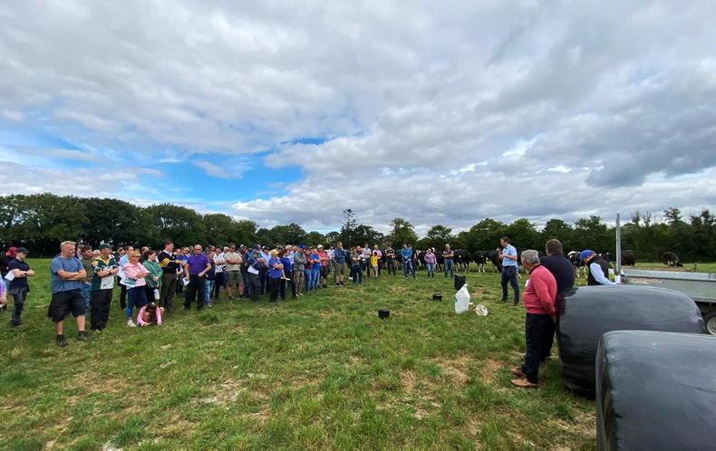 Small incremental changes leading to big profit on Wexford dairy farm Small incremental changes leading to big profit on Wexford dairy farm