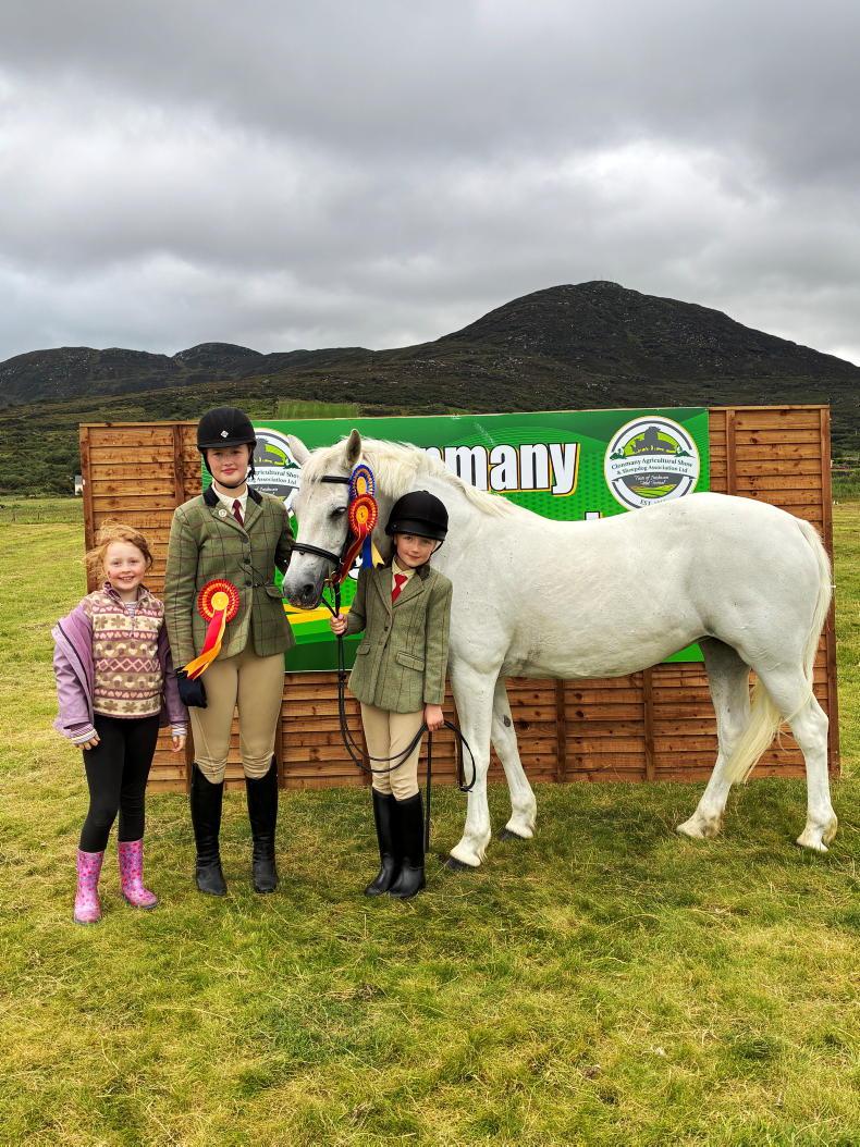 Farmer Writes: the power-washer was busy at Clonmany Show Farmer Writes: the power-washer was busy at Clonmany Show