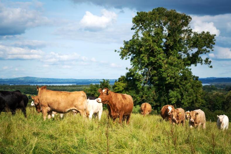 Opinion: if we fail young farmers, we risk our food security Opinion: if we fail young farmers, we risk our food security