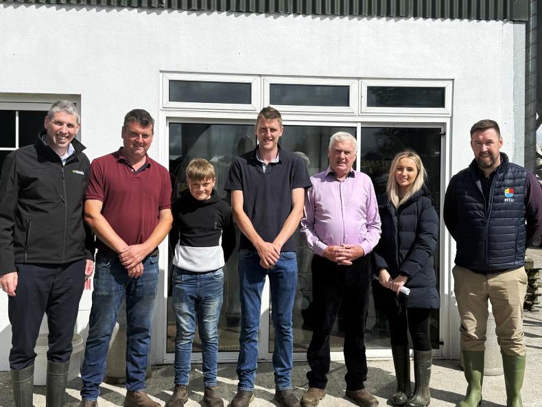 From beef to dairy as Clare family grows to 226 cows From beef to dairy as Clare family grows to 226 cows