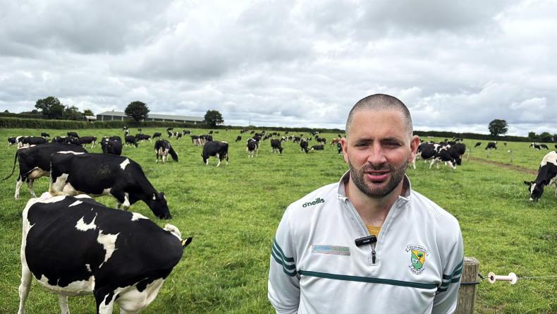 How a 176-cow dairy farm is aiming for a Monday-to-Friday routine How a 176-cow dairy farm is aiming for a Monday-to-Friday routine