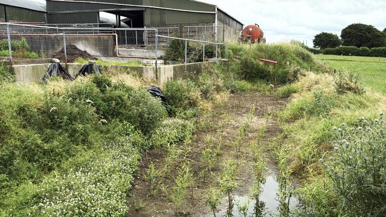 How a 176-cow dairy farm is aiming for a Monday-to-Friday routine How a 176-cow dairy farm is aiming for a Monday-to-Friday routine