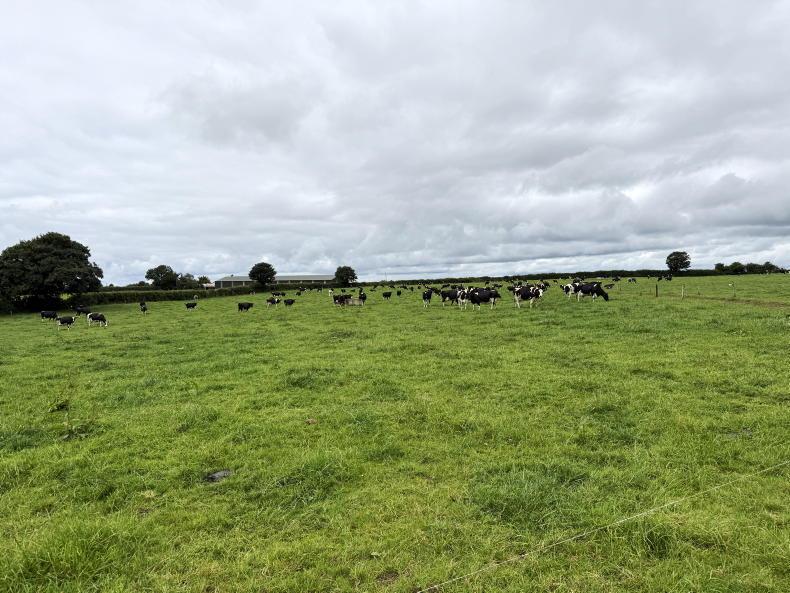 How a 176-cow dairy farm is aiming for a Monday-to-Friday routine How a 176-cow dairy farm is aiming for a Monday-to-Friday routine