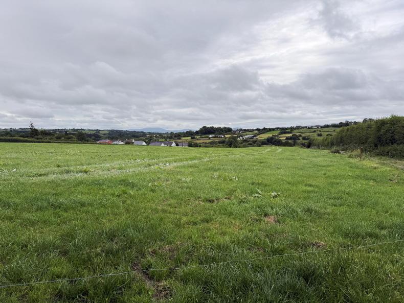 Young dairy farmer sets sights on 120-cow herd after going full-time Young dairy farmer sets sights on 120-cow herd after going full-time