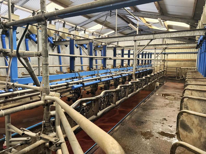 Young dairy farmer sets sights on 120-cow herd after going full-time Young dairy farmer sets sights on 120-cow herd after going full-time