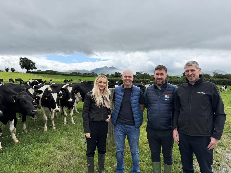 74 cows is enough as Kerry farmer targets more milk solids 74 cows is enough as Kerry farmer targets more milk solids
