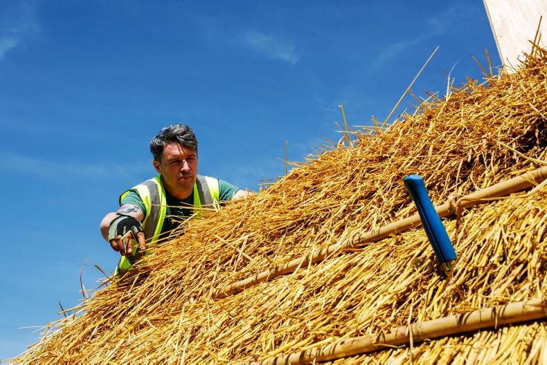 Up to €20,000 in thatching grants available Up to €20,000 in thatching grants available
