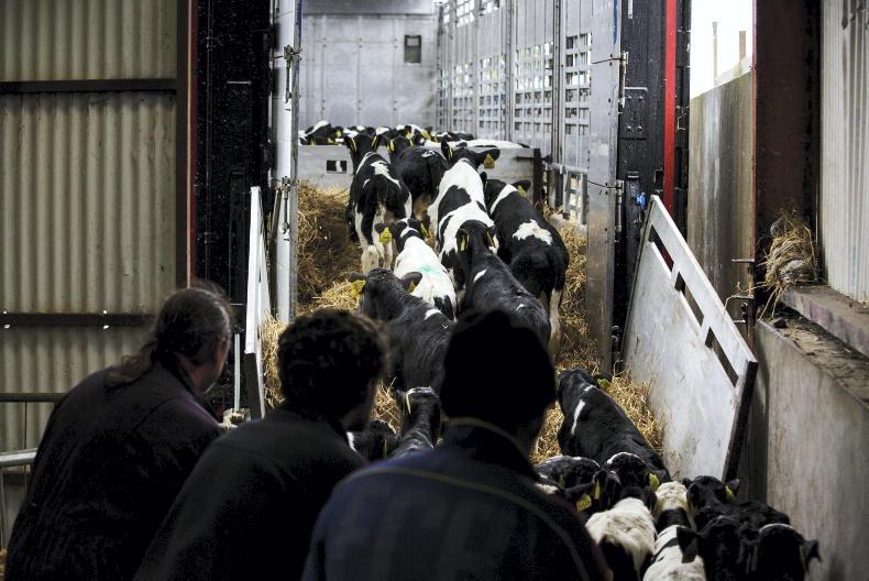 Macra warns Brittany Ferries exit is another blow to young farmers Macra warns Brittany Ferries exit is another blow to young farmers