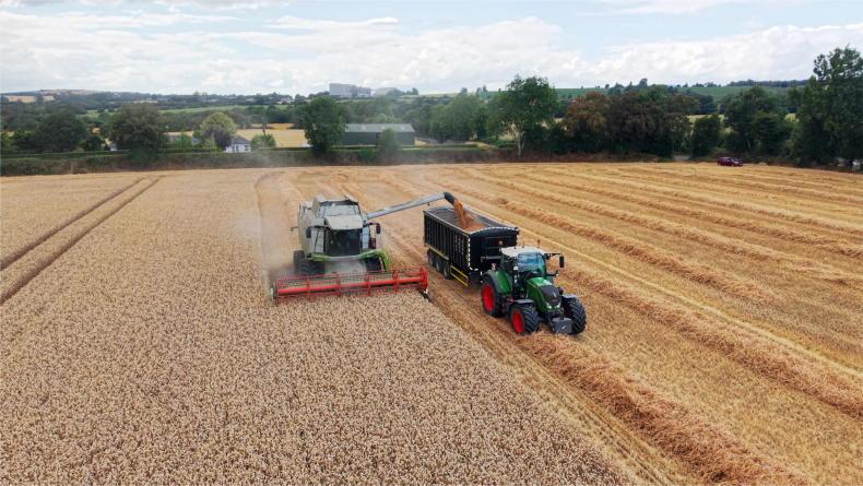 Yield Watch: wheat harvested and differences clear on the weighbridge Yield Watch: wheat harvested and differences clear on the weighbridge