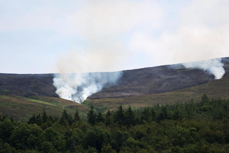 IFA urges forest owners to prepare fire plans IFA urges forest owners to prepare fire plans