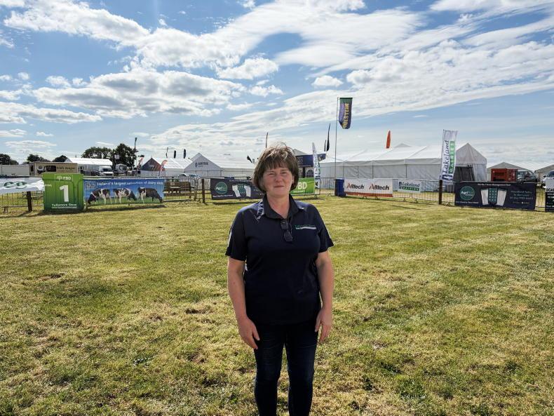 Watch: the calm before the Tullamore Show Watch: the calm before the Tullamore Show