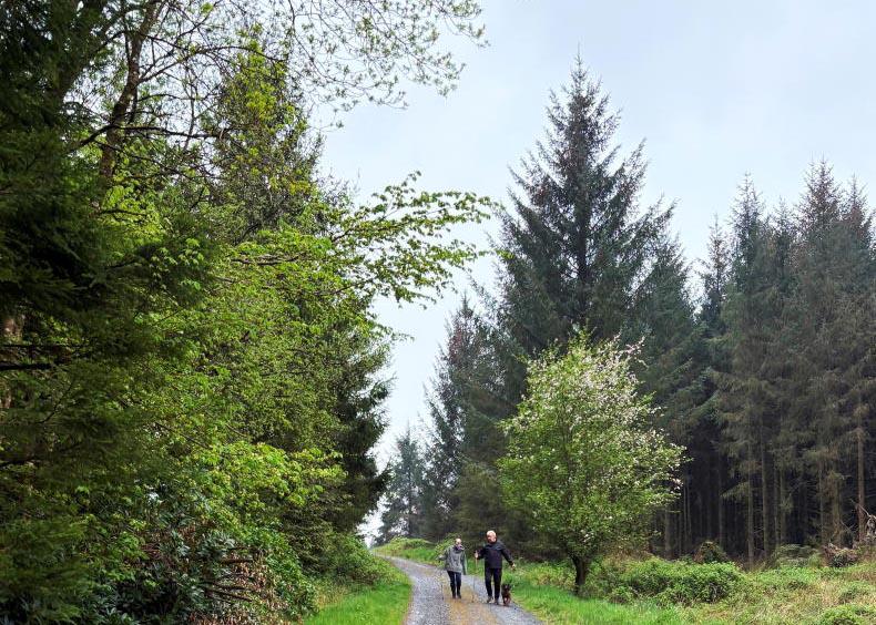 Public support strong for forestry Public support strong for forestry