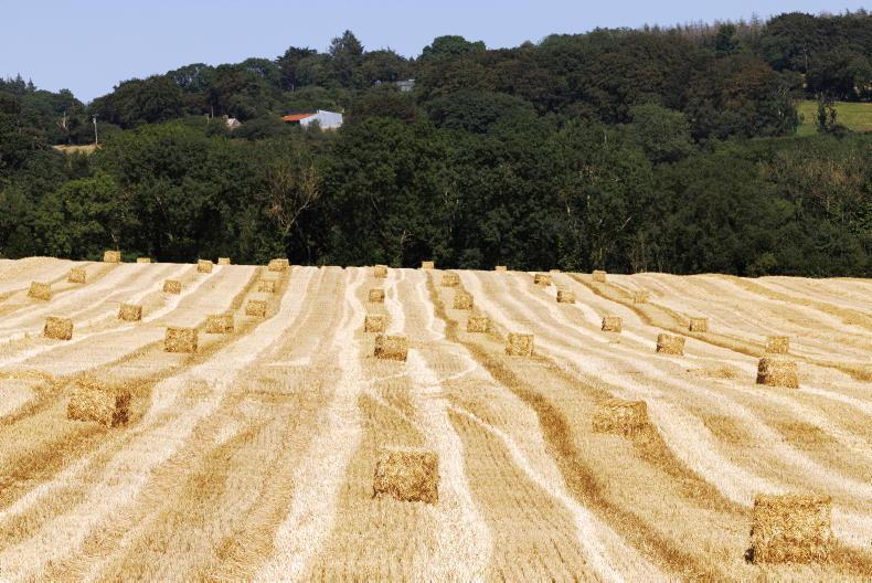 Share your views: what are hay and straw costing in your area? Share your views: what are hay and straw costing in your area?