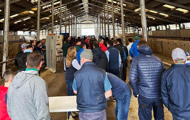 Practical lessons for a more profitable dairy farm: Future Farm Roadshow Practical lessons for a more profitable dairy farm: Future Farm Roadshow