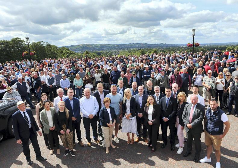 Hundreds turn out at Stormont protest over cattle cull Hundreds turn out at Stormont protest over cattle cull