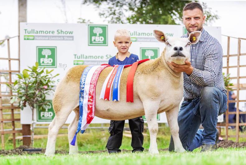 Strong entries and superb quality sheep on display at Tullamore Show Strong entries and superb quality sheep on display at Tullamore Show