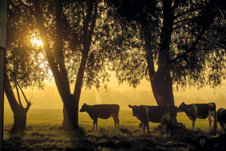 Explainer: when does hot weather become a heatwave? Explainer: when does hot weather become a heatwave?