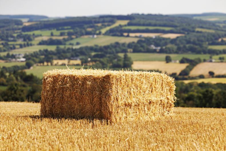 Tillage management: harvesting, planting and early beans Tillage management: harvesting, planting and early beans