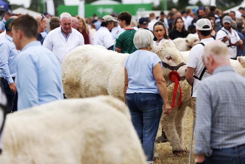 Editorial: Tullamore's success highlights what Irish agriculture is missing Editorial: Tullamore's success highlights what Irish agriculture is missing