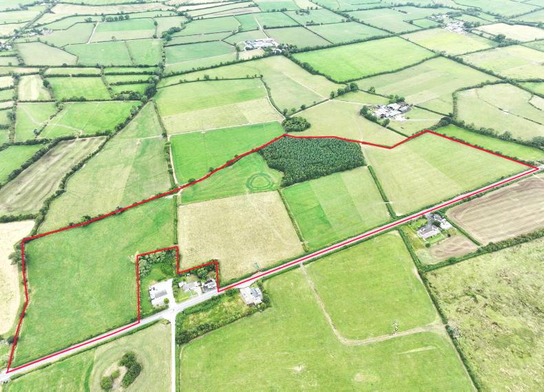 Golden Vale outblock offers expansion opportunity and future potential Golden Vale outblock offers expansion opportunity and future potential