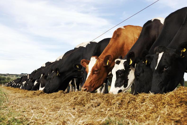 All farmers urged to complete fodder budget as drought bites All farmers urged to complete fodder budget as drought bites