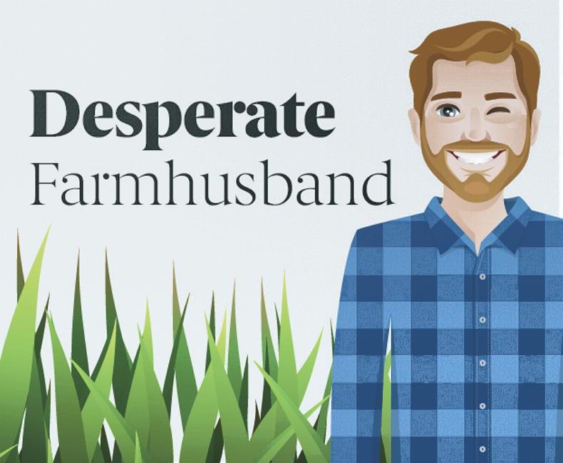 'The water crisis has eased on our farm, but the grass battle lies ahead' 'The water crisis has eased on our farm, but the grass battle lies ahead'