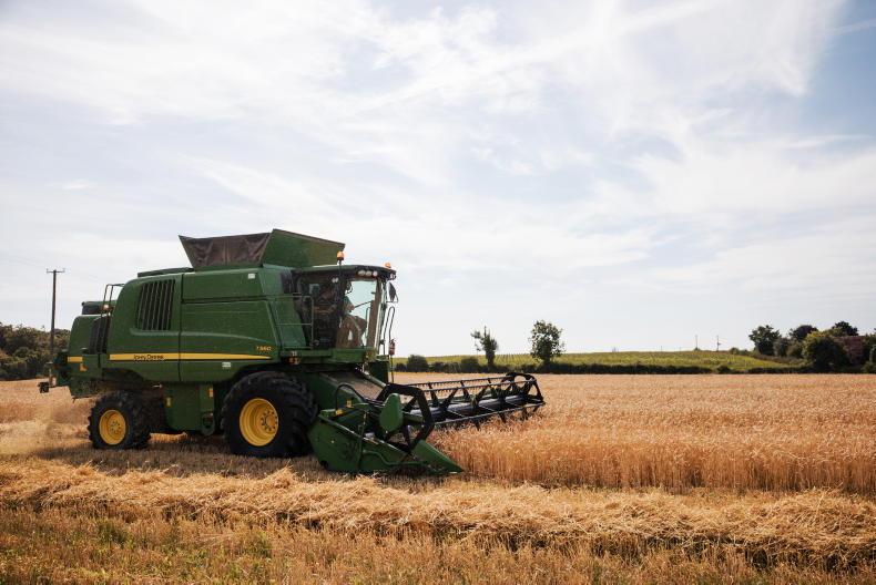 Grain trends: process stable as market wait on reports Grain trends: process stable as market wait on reports