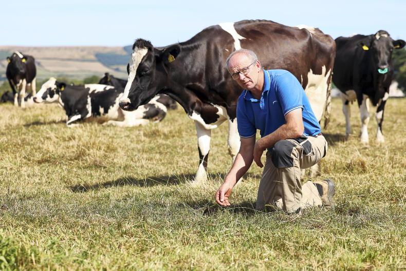 'I'm farming since 1990 and I've never had to do as much feeding' 'I'm farming since 1990 and I've never had to do as much feeding'