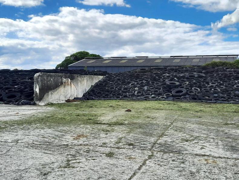 Drought advice: planning, culling and winter feed key for dairy farmers Drought advice: planning, culling and winter feed key for dairy farmers