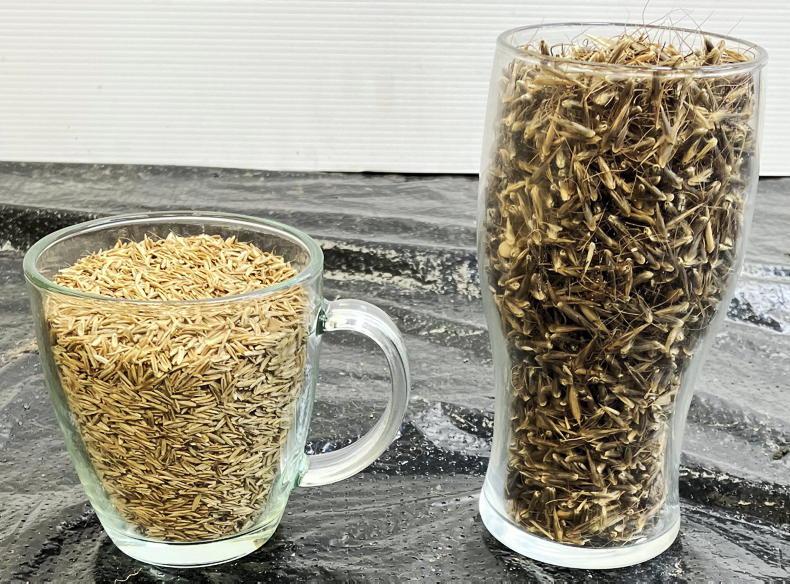 Test your weeds for herbicide resistance for free Test your weeds for herbicide resistance for free