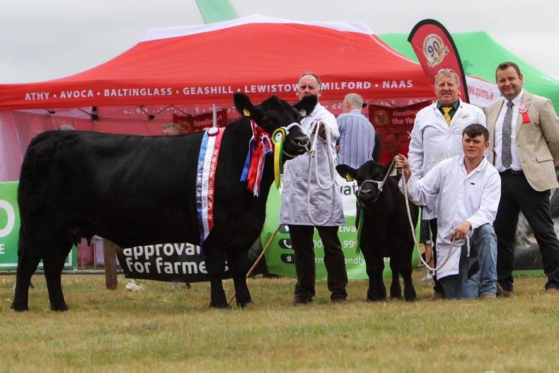 Lisduff completes the double in Tullamore Lisduff completes the double in Tullamore