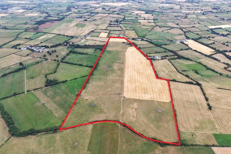100ac Kilkenny farm expected to draw wide interest 100ac Kilkenny farm expected to draw wide interest