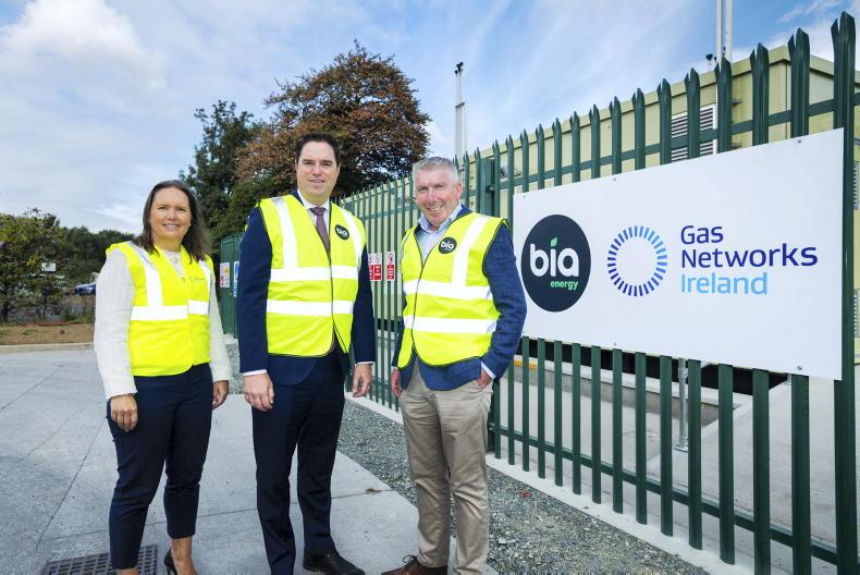 Seven years on, first AD plant connects to grid Seven years on, first AD plant connects to grid