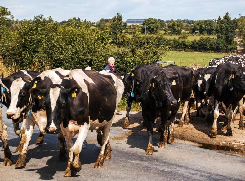 Agri jobs: assistant manager wanted for 500-cow dairy farm in Meath Agri jobs: assistant manager wanted for 500-cow dairy farm in Meath