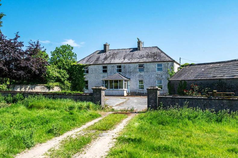 203ac Offaly farm with tillage, grazing and forestry seeks €2m 203ac Offaly farm with tillage, grazing and forestry seeks €2m