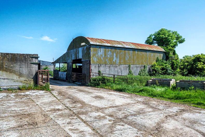 203ac Offaly farm with tillage, grazing and forestry seeks €2m 203ac Offaly farm with tillage, grazing and forestry seeks €2m