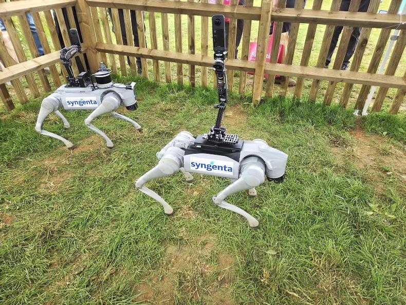 Tillage Podcast: seed production in the US and robot 'dogs' to walk crops Tillage Podcast: seed production in the US and robot 'dogs' to walk crops