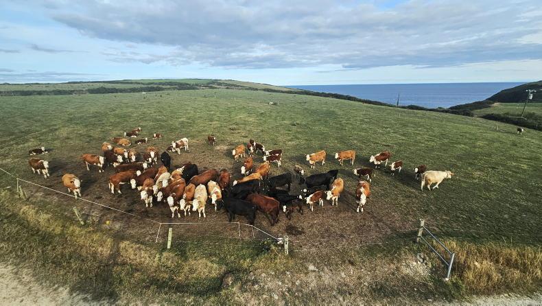 Farmer Writes: there’s no one to stand in a gap Farmer Writes: there’s no one to stand in a gap