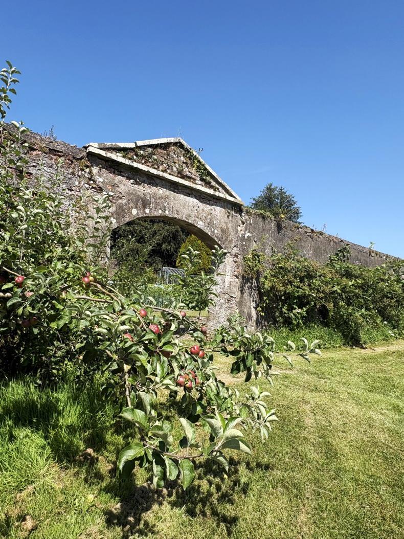 Colebrooke Walled Garden: nature-based therapy helps people grow Colebrooke Walled Garden: nature-based therapy helps people grow