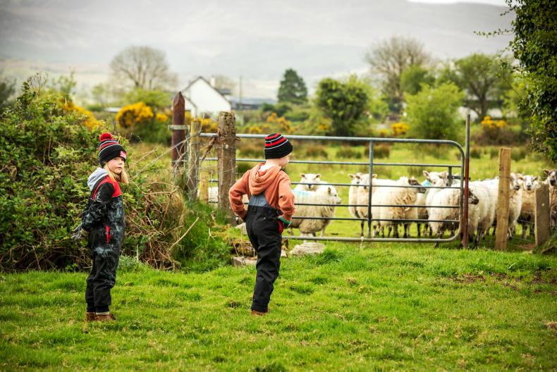 Teagasc to host five events during Generational Renewal Week Teagasc to host five events during Generational Renewal Week