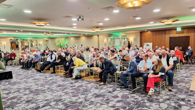 Five proposals from Independent Ireland live exporters' meeting Five proposals from Independent Ireland live exporters' meeting