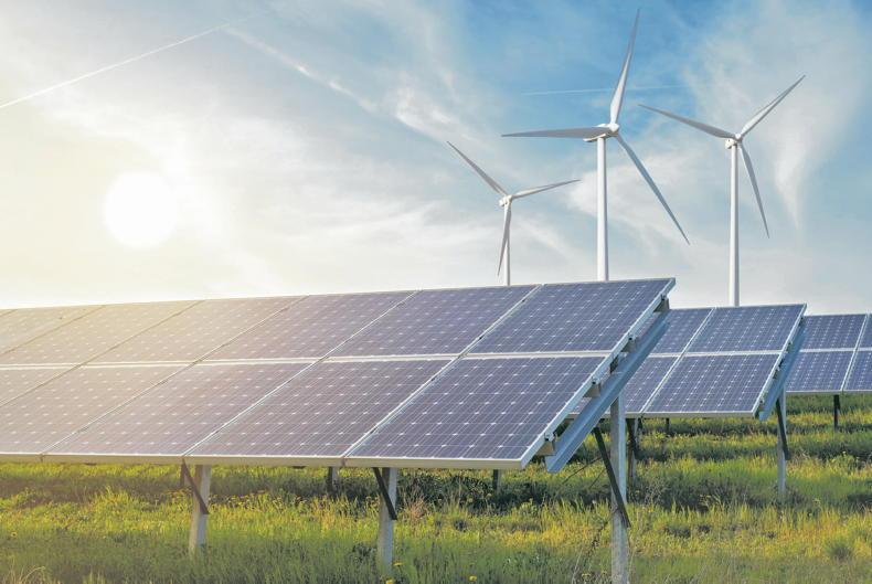 New Teagasc PHD to examine impact of solar PVs on biodiversity New Teagasc PHD to examine impact of solar PVs on biodiversity