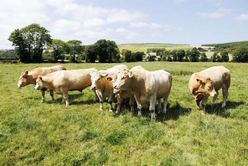 Factory prices steady at start of the week Factory prices steady at start of the week