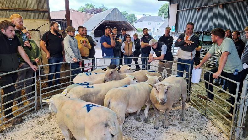 Access to €1,000 grant for young sheep farmers with Dawn Meats Future Flocks Access to €1,000 grant for young sheep farmers with Dawn Meats Future Flocks