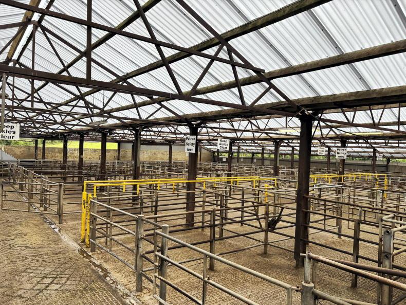 Carrigallen Mart sees major upgrade Carrigallen Mart sees major upgrade
